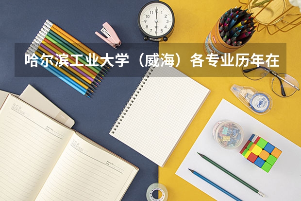 哈尔滨工业大学（威海）各专业历年在河南招生人数是多少