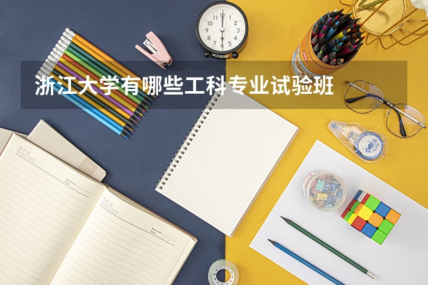 浙江大学有哪些工科专业试验班
