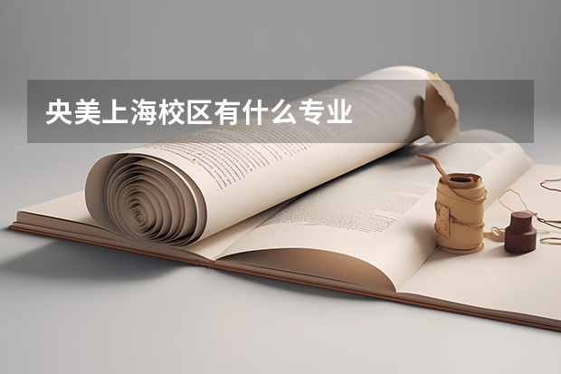 央美上海校区有什么专业