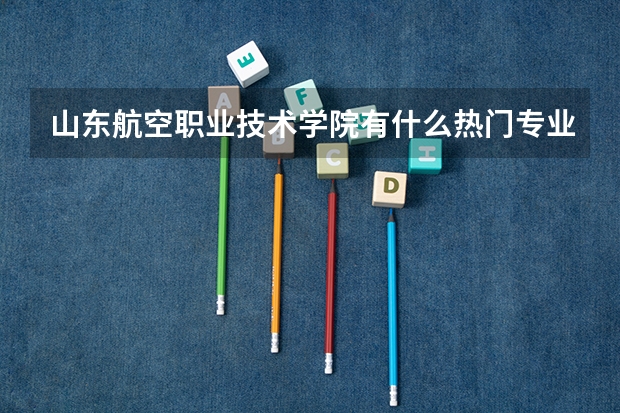 山东航空职业技术学院有什么热门专业