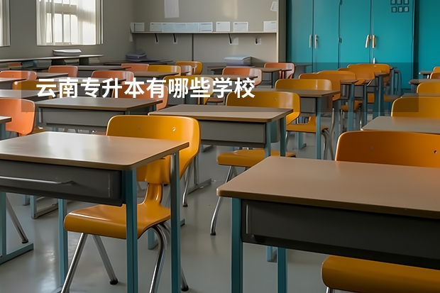 云南专升本有哪些学校