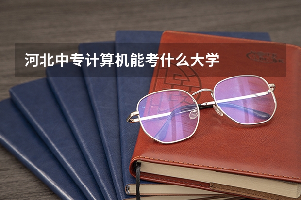 河北中专计算机能考什么大学