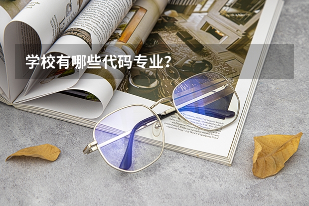 学校有哪些代码专业？