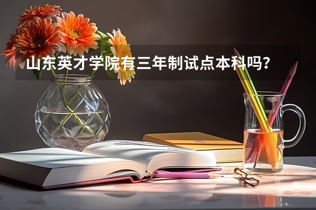 山东英才学院有三年制试点本科吗？