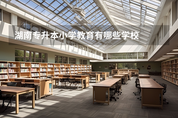 湖南专升本小学教育有哪些学校