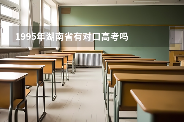 1995年湖南省有对口高考吗