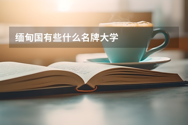缅甸国有些什么名牌大学