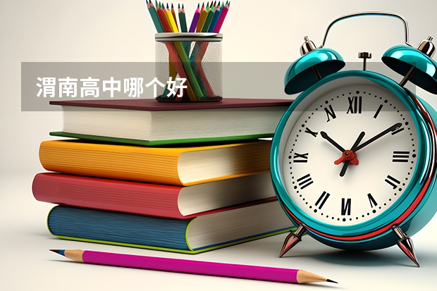 渭南高中哪个好
