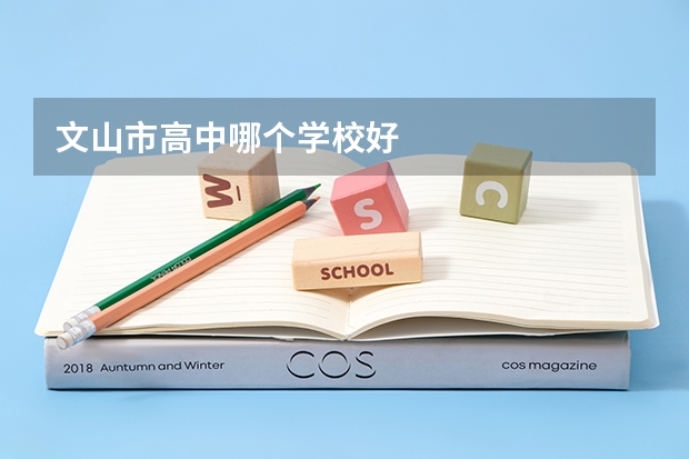 文山市高中哪个学校好