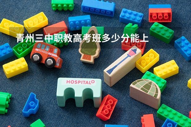 青州三中职教高考班多少分能上