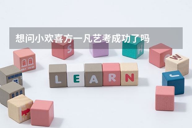 想问小欢喜方一凡艺考成功了吗
