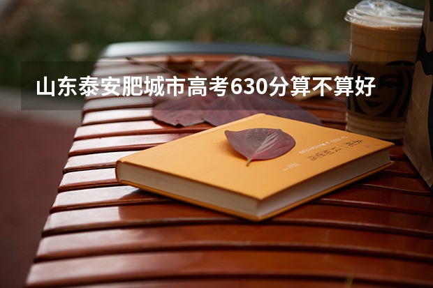 山东泰安肥城市高考630分算不算好？能上什么学校？650分呢？
