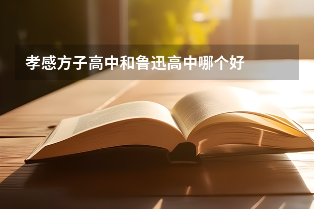 孝感方子高中和鲁迅高中哪个好