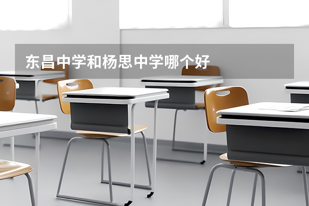 东昌中学和杨思中学哪个好