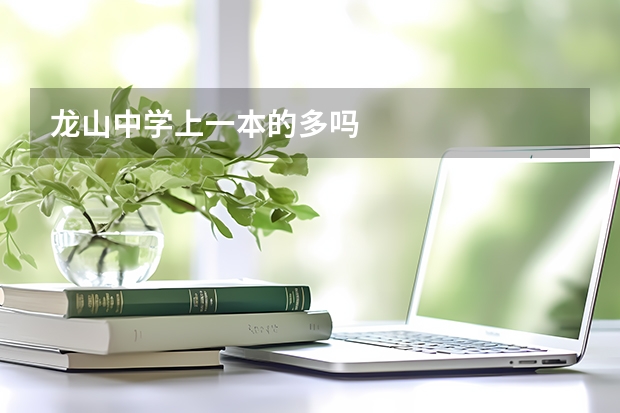 龙山中学上一本的多吗