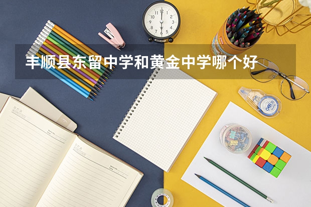 丰顺县东留中学和黄金中学哪个好