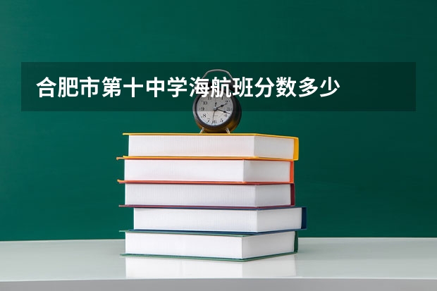 合肥市第十中学海航班分数多少