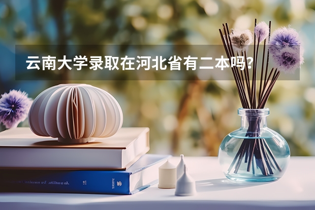 云南大学录取在河北省有二本吗？