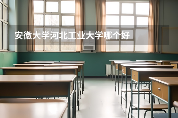 安徽大学河北工业大学哪个好