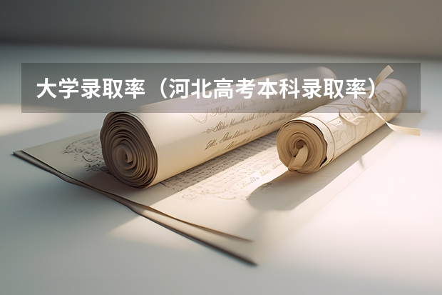 大学录取率（河北高考本科录取率）