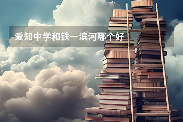 爱知中学和铁一滨河哪个好
