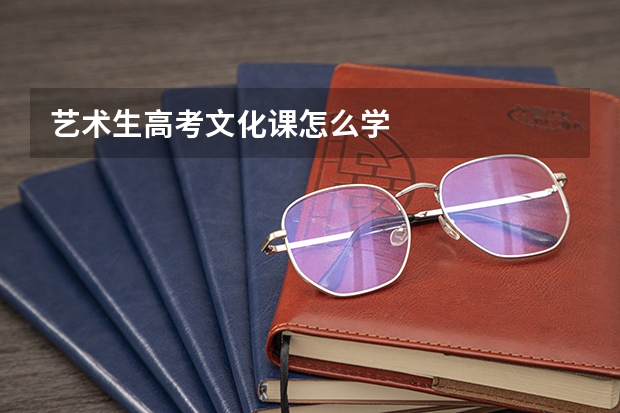 艺术生高考文化课怎么学