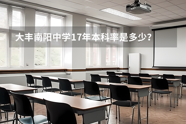 大丰南阳中学17年本科率是多少？