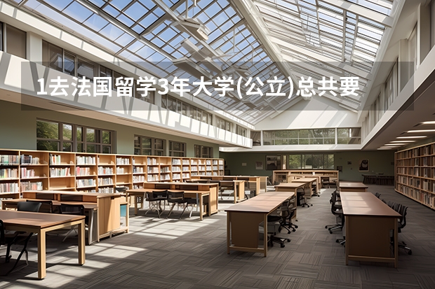1.去法国留学3年大学(公立)总共要多少钱?