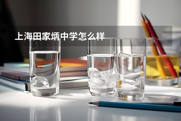 上海田家炳中学怎么样