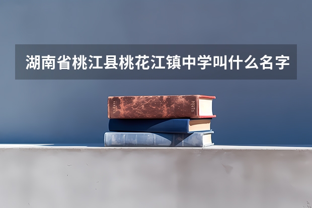湖南省桃江县桃花江镇中学叫什么名字