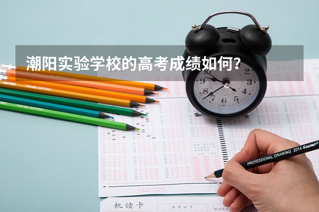 潮阳实验学校的高考成绩如何？
