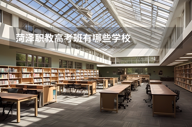 菏泽职教高考班有哪些学校