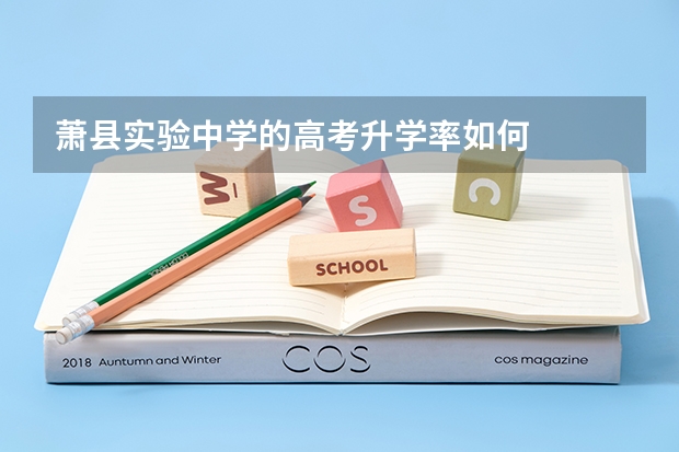 萧县实验中学的高考升学率如何