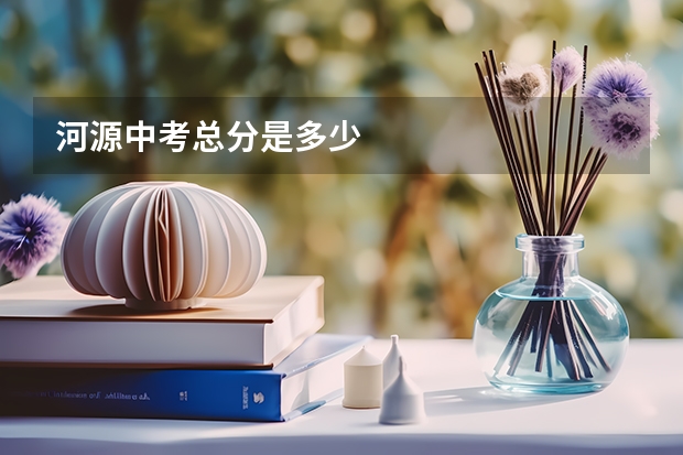 河源中考总分是多少