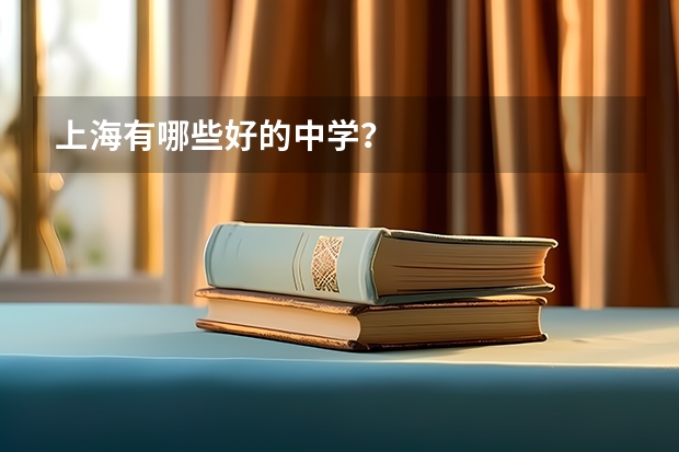 上海有哪些好的中学？