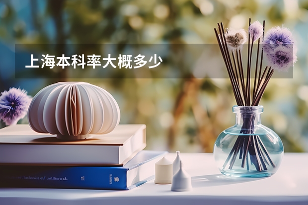 上海本科率大概多少