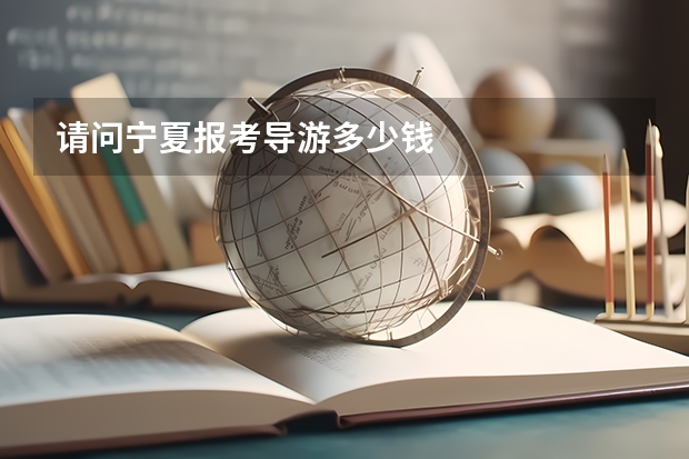 请问宁夏报考导游多少钱