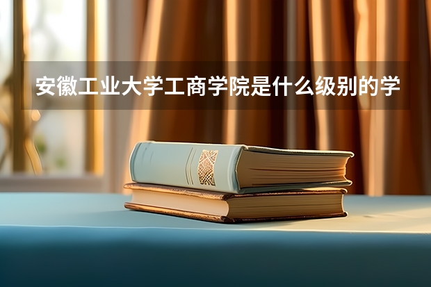 安徽工业大学工商学院是什么级别的学校