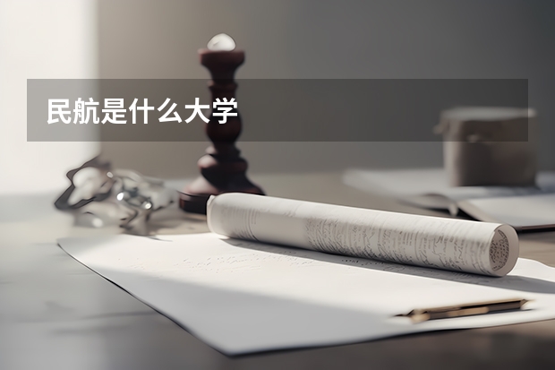 民航是什么大学