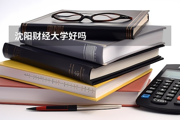 沈阳财经大学好吗